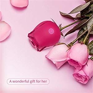 10 modos Rose Clitoral Sucking Vibrator Rechargeable que suga o vibrador para a fêmea