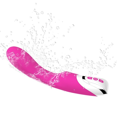 O ponto de vibração de G do Dido do silicone introduz o vibrador de vibração remoto sem fio da vagina da massagem