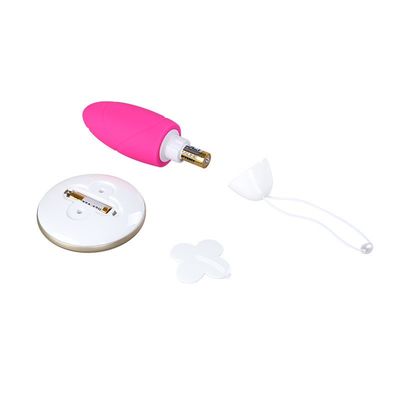 Sexo de vibração de controle remoto Toy Vagina Vibrator Toy de 10 ovos das velocidades 65*65*28mm