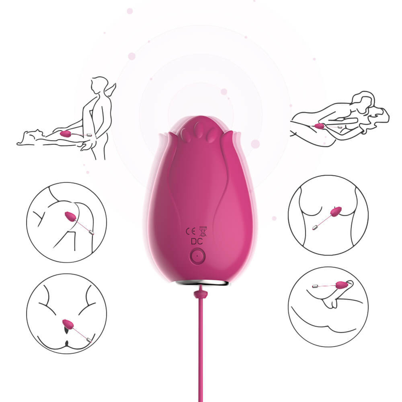 Brinquedos de vibração do sexo do ovo do ponto de G para o controle sem fio Mini Flower Silicone das mulheres